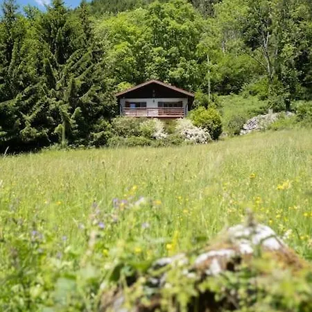 L'oree Des Etoiles Dans La Vallee De Munster Stosswihr