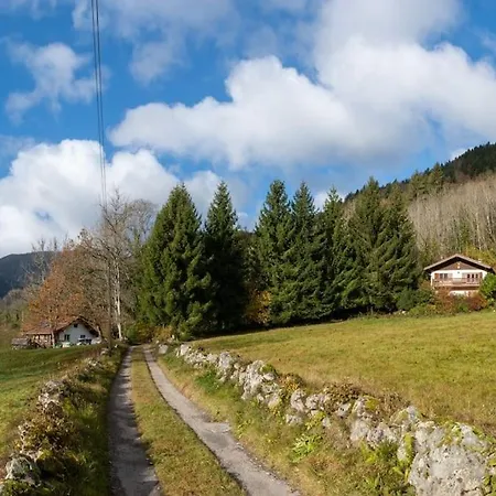 L'oree Des Etoiles Dans La Vallee De Munster *